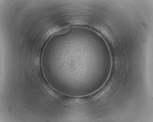 X0000116490881200912091418