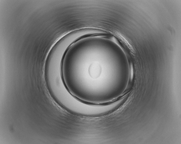 X0000116490884200912091418