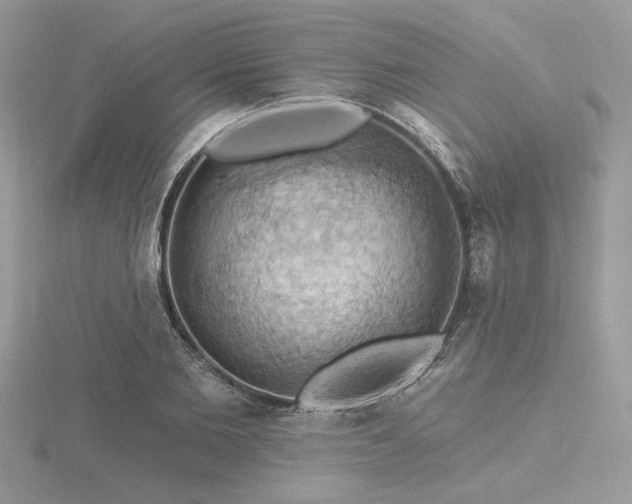 X0000116490885200912091418