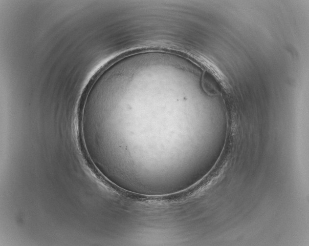 X0000116490888200912091418