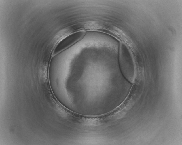 X0000116490889200912091418