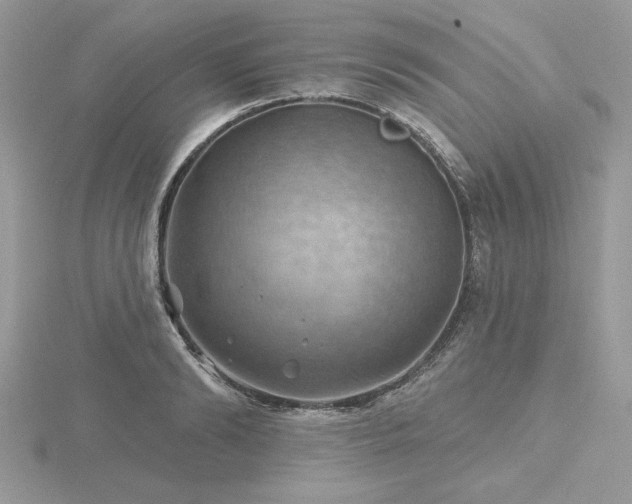 X0000116490894200912091418