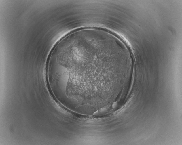 X0000116490895200912091418