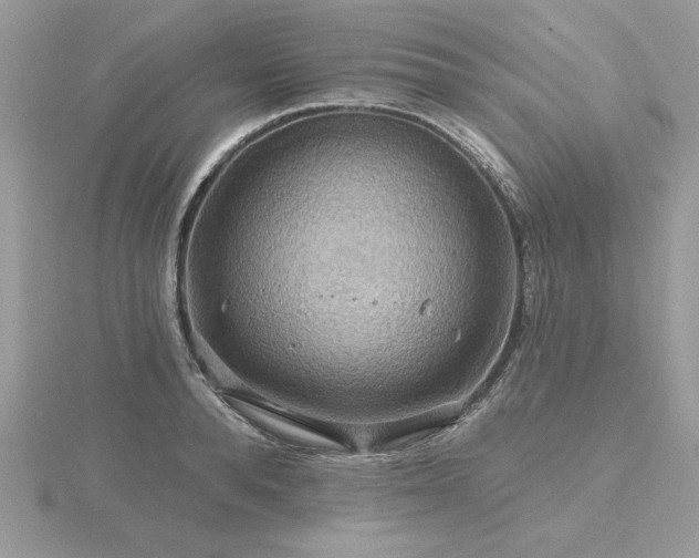 X0000116490896200912091418