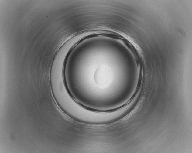 X0000116490897200912091418