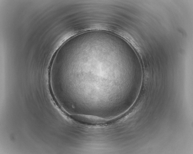 X0000116490898200912091418