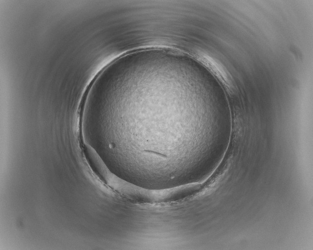 X0000116490900200912091418