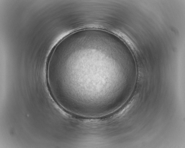 X0000116490902200912091418