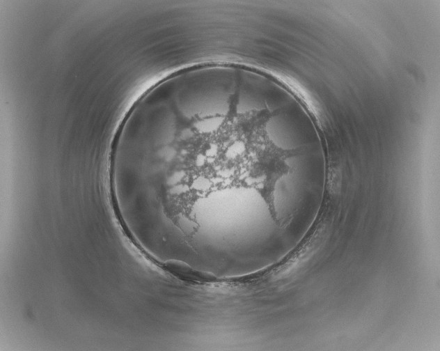 X0000116490903200912091418