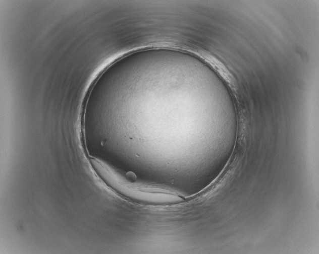 X0000116490904200912091418