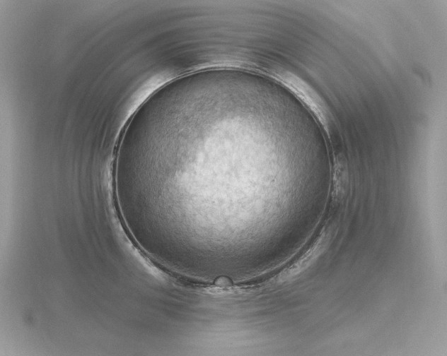 X0000116490906200912091418