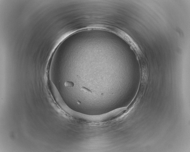 X0000116490908200912091418