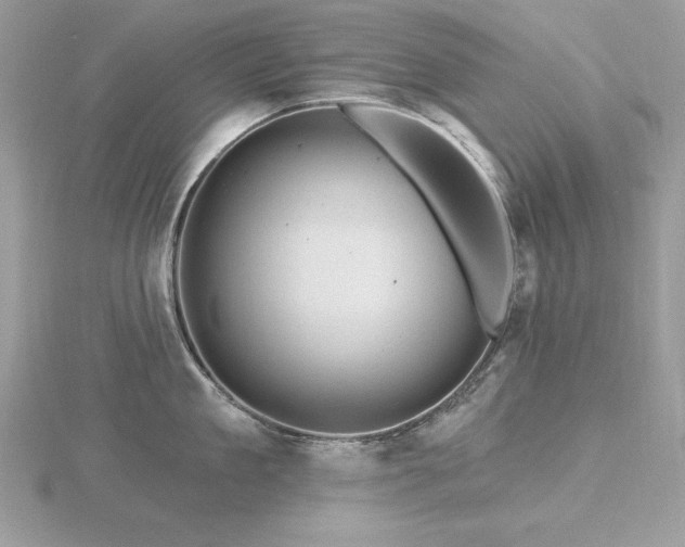 X0000116490909200912091418