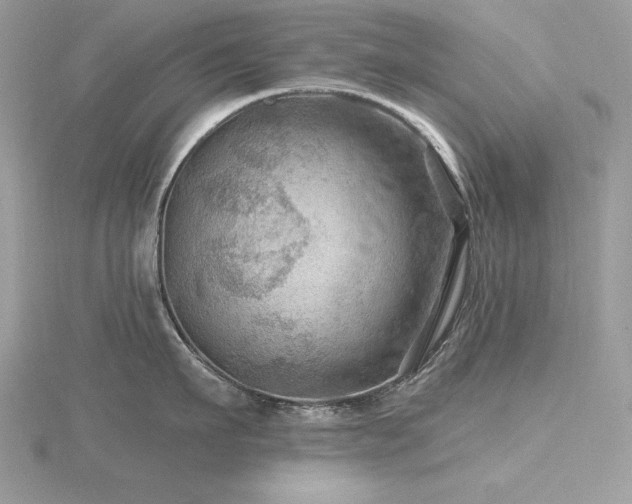 X0000116490911200912091418