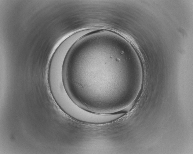 X0000116490912200912091418