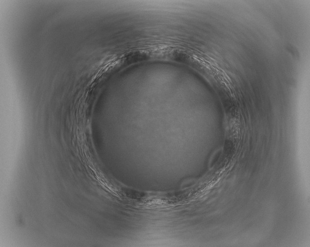 X0000116490913200912091417