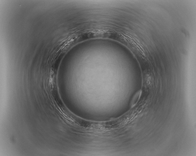 X0000116490914200912091417