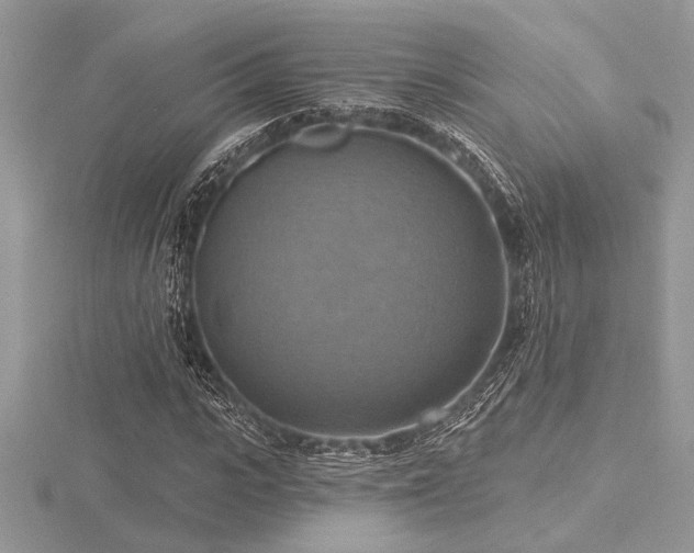 X0000116490919200912091417