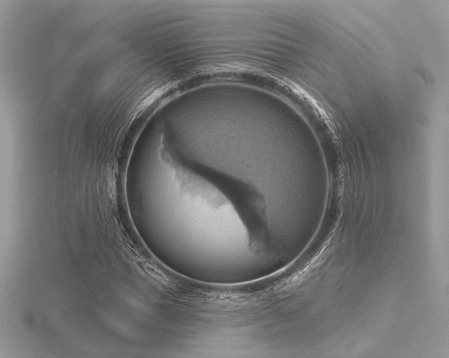 X0000116490921200912091417