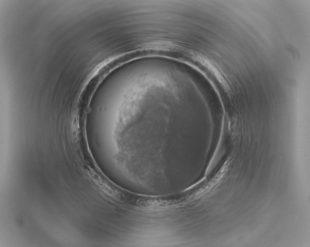 X0000116490923200912091417