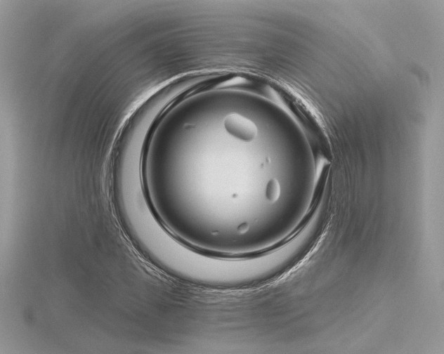 X0000116490925200912091417