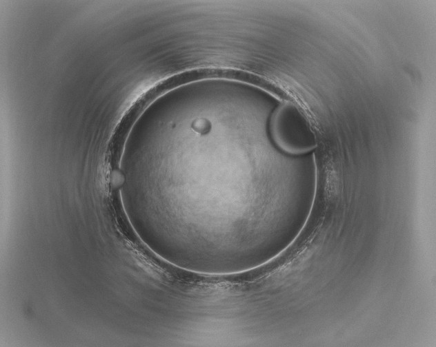 X0000116490926200912091417