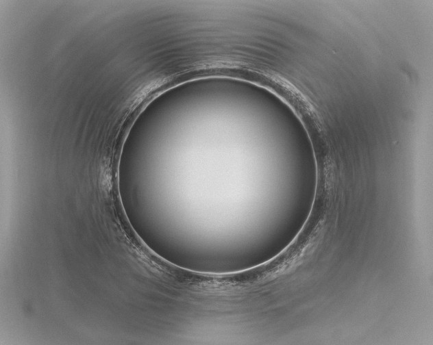 X0000116490929200912091417