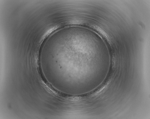 X0000116490930200912091417