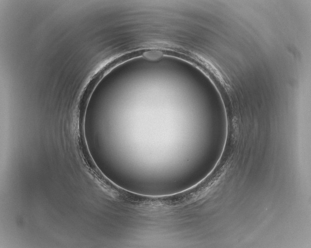 X0000116490931200912091418