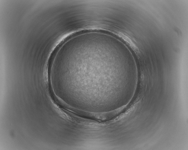 X0000116490934200912091418