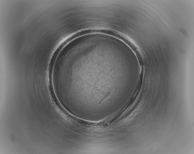 X0000116490935200912091418