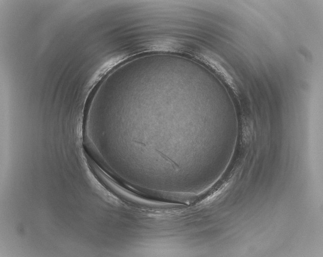 X0000116490938200912091418