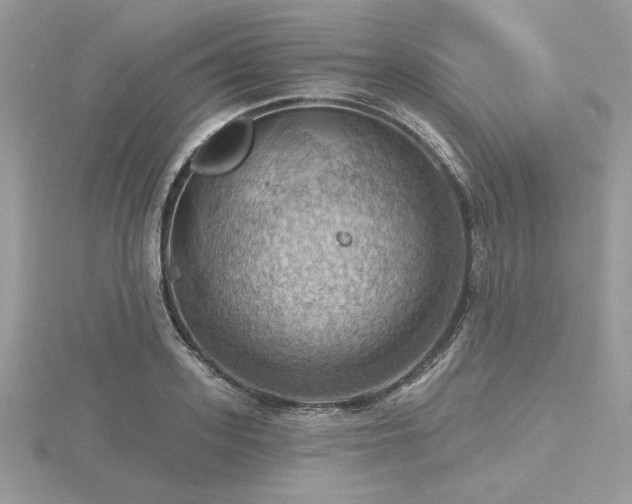 X0000116490939200912091418