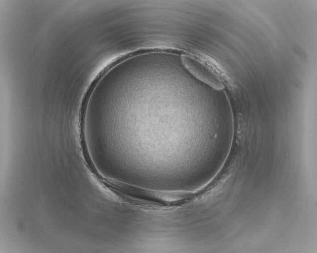 X0000116490942200912091418