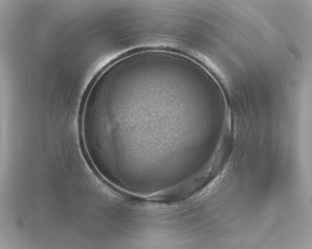 X0000116490943200912091418