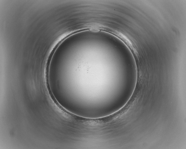 X0000116490947200912091418