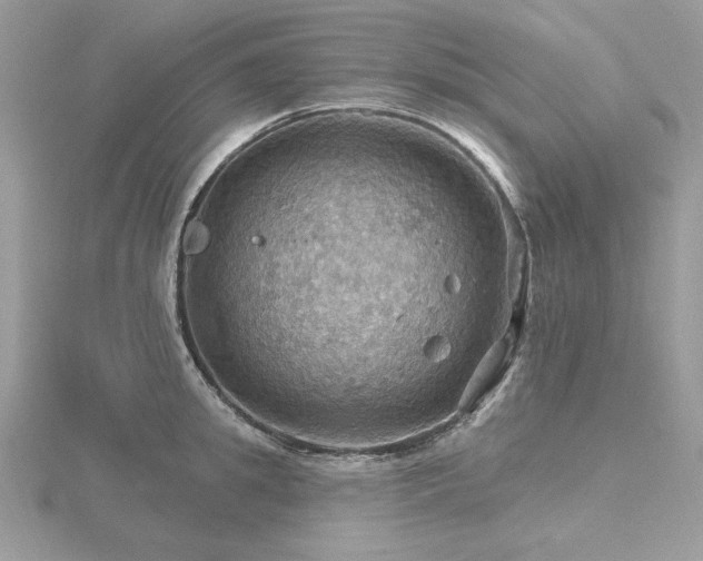 X0000116490949200912091418