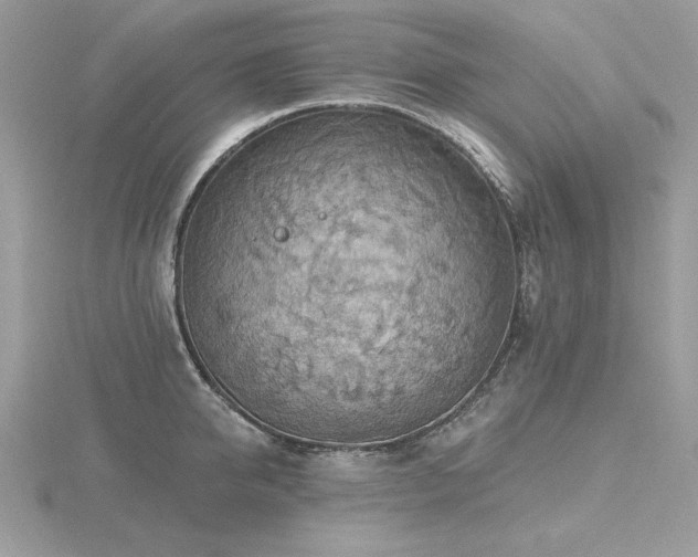 X0000116490950200912091418