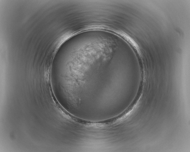 X0000116490953200912091418