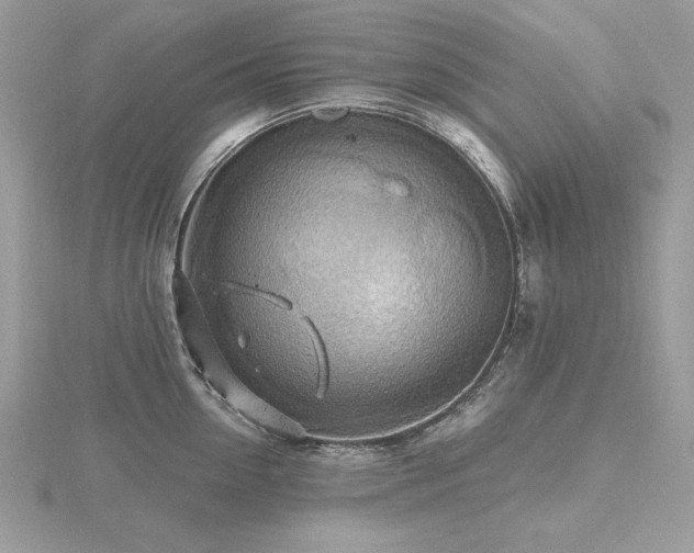 X0000116490954200912091418