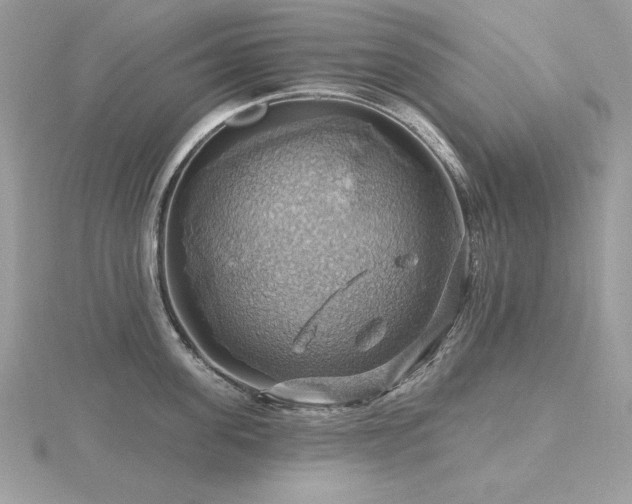 X0000116490955200912091418