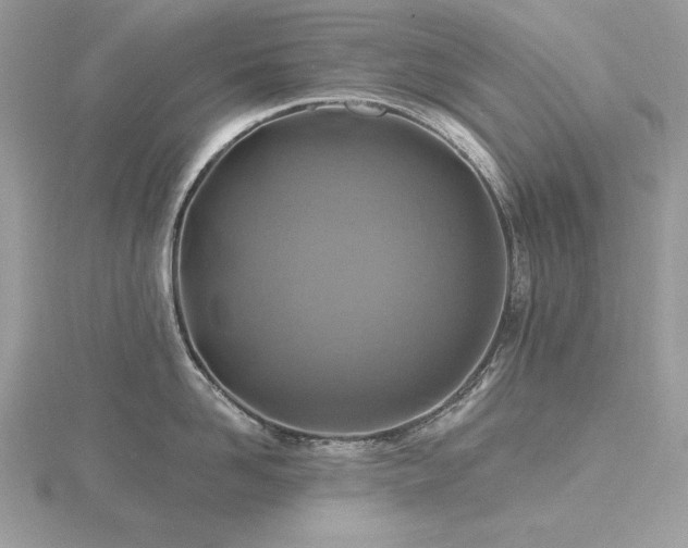 X0000116490958200912091418