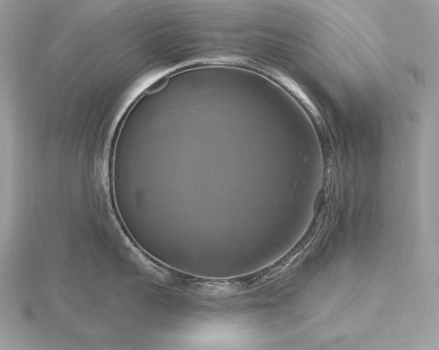 X0000116490959200912091418