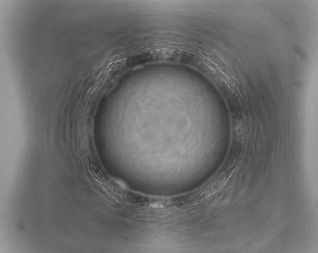 X0000116490961200912091417