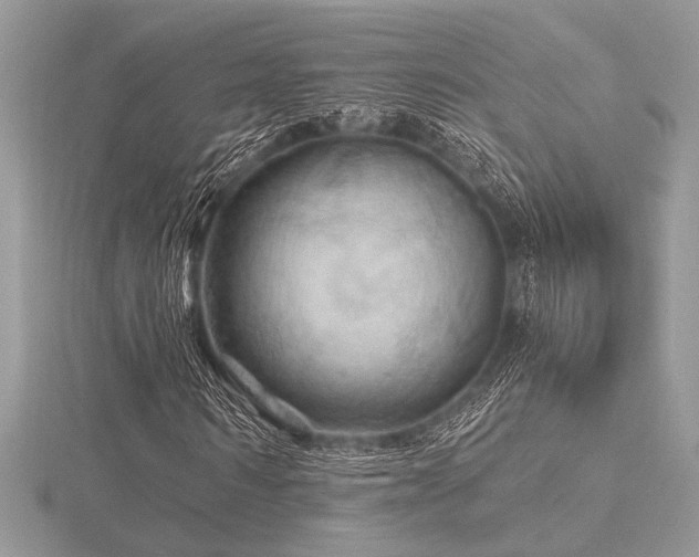 X0000116490962200912091417