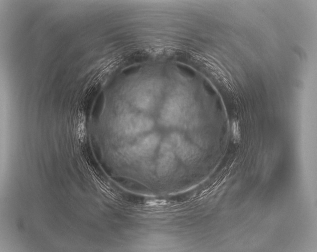 X0000116490963200912091417