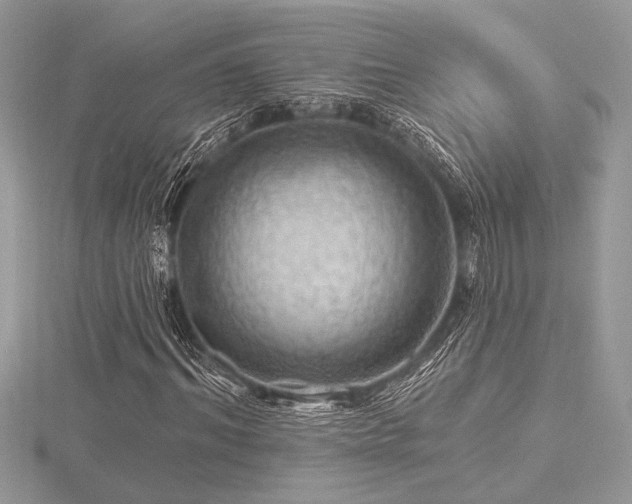 X0000116490964200912091417