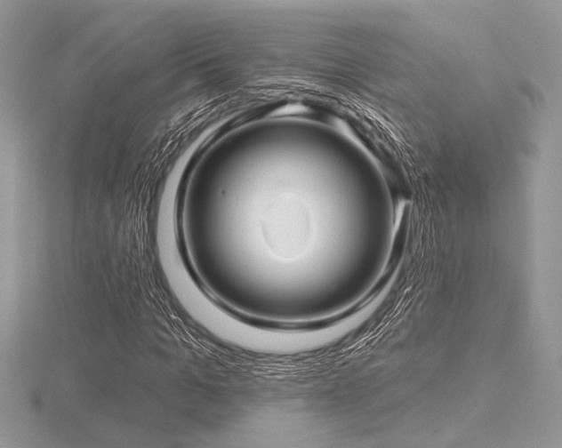 X0000116490965200912091417