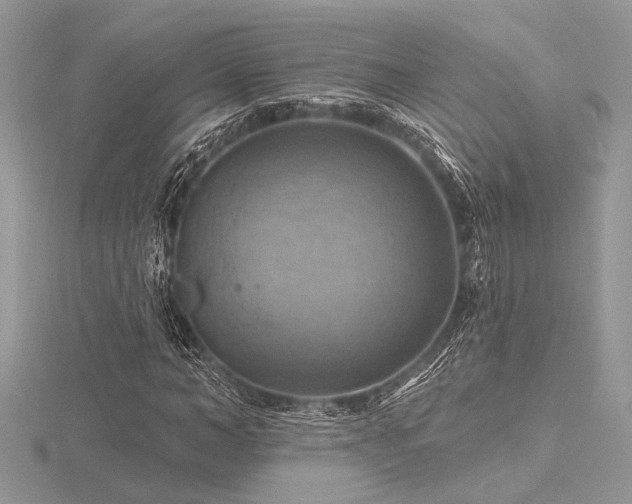 X0000116490966200912091417