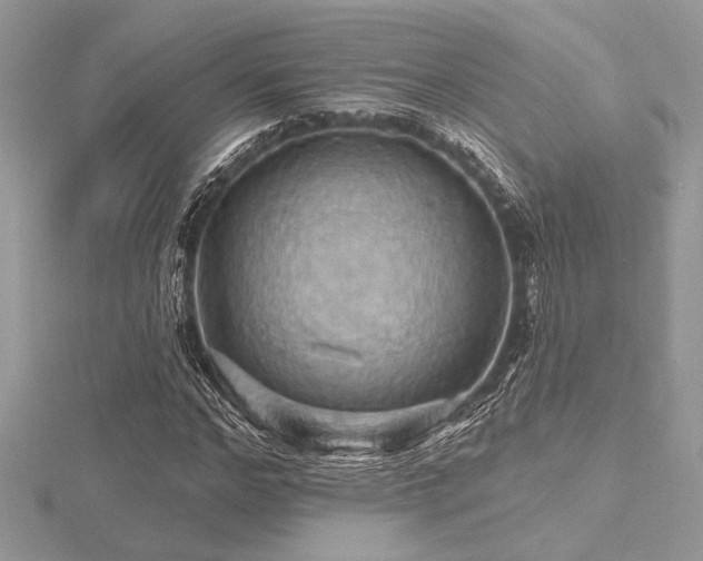 X0000116490968200912091417